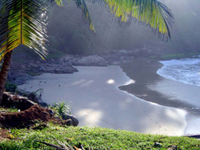 Indien - Kerala - Nikki´s Nest
