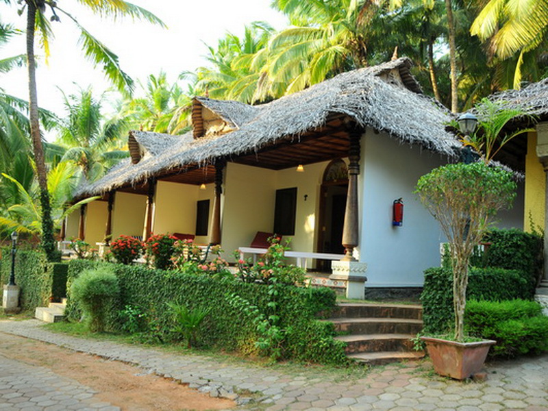 Indien - Kerala - Nikki´s Nest