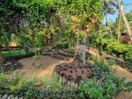 Hiru Om Ayurveda Resort Garten mit tropischer Bepflanzung