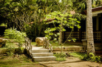 Thaulle Resort mit Heilkräuter Garten