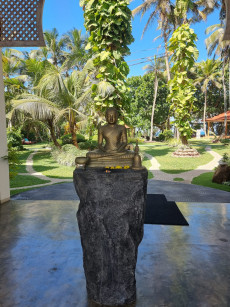 Hiru Om Ayurveda Resort mit tropischem Garten und Strandlage