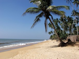 Beach Wasantha - Ayurveda Kur Sri Lanka Indien